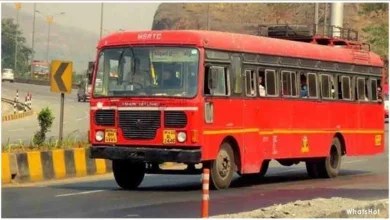 MSRTC bus