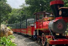 vanranitrain mini train voice of eastern