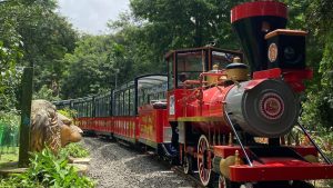 vanranitrain mini train voice of eastern 