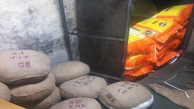 गिरगावमध्ये भेसळयुक्त मिठाई व मावा जप्त - voice of eastern